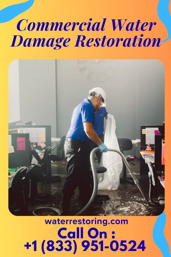 Commercial Water Damage Restoration in Black Diamond, WA