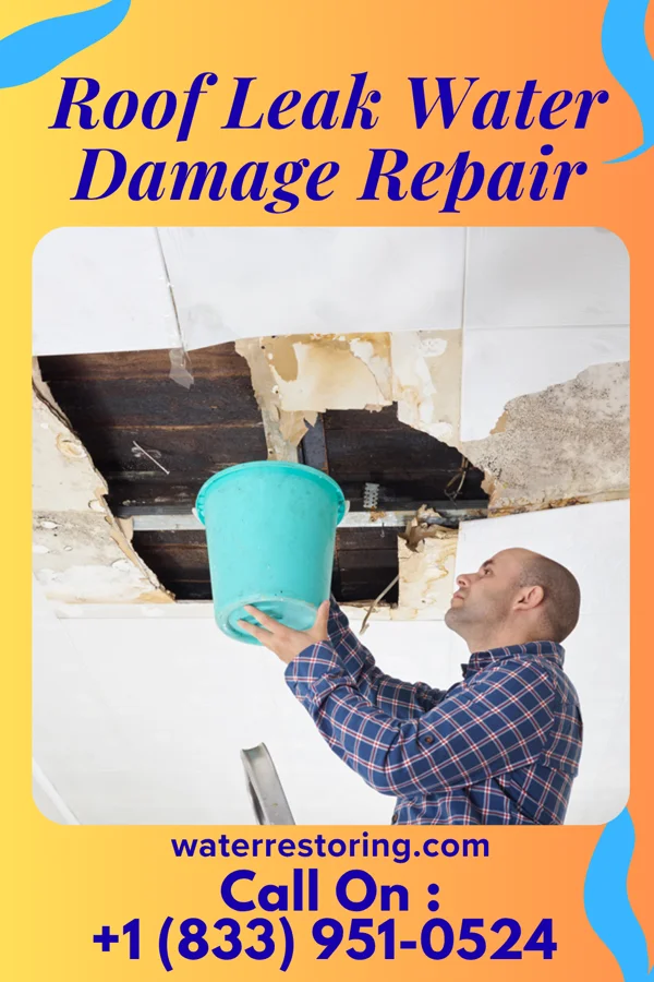 Roof Leak Water Damage Repair in Black Diamond, WA